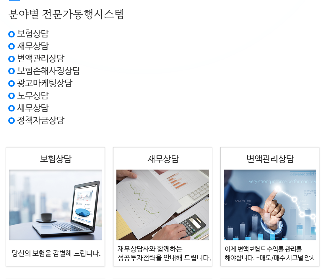 분야별 전문가동행시스템 소개1