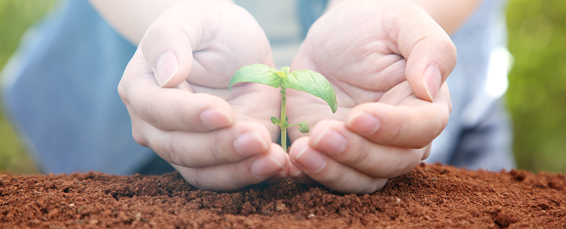 금융소비자보호 기준 소개